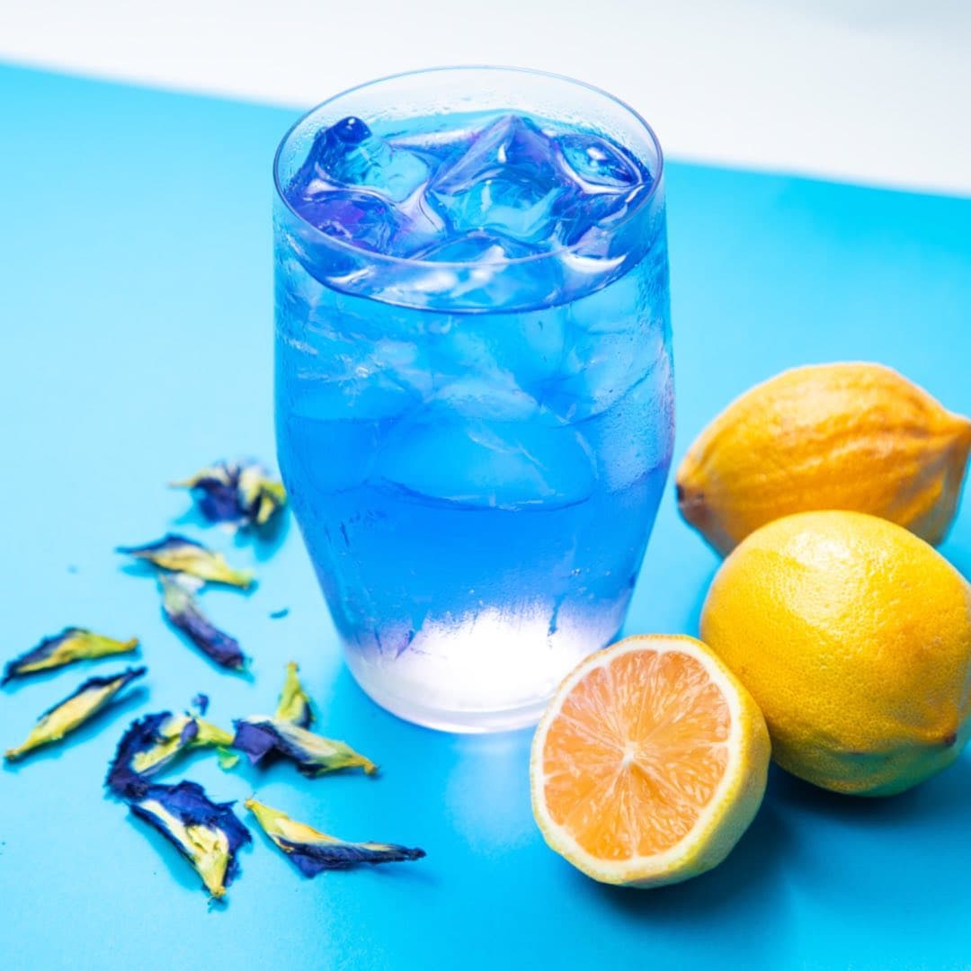 Butterfly Pea gallery image 1