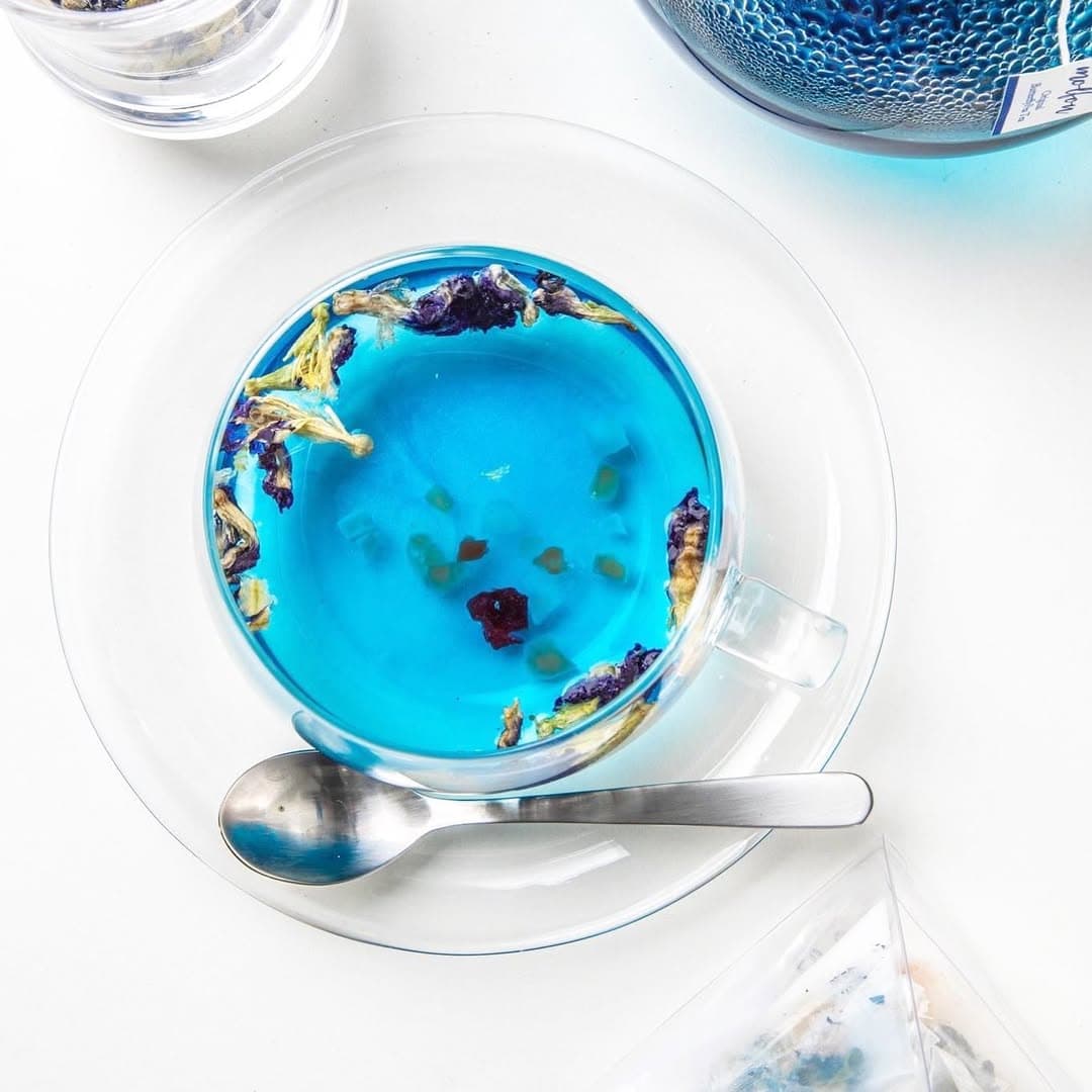 Butterfly Pea gallery image 3