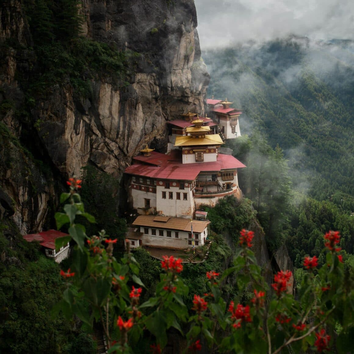 Visit Bhutan